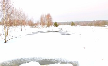 Зимняя зарисовка / Зимняя зарисовка
