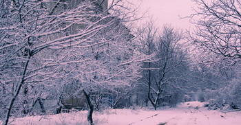 Заснеженная улица / В Крыму выпадает и тут же тает снег