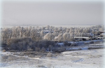 Белым снегом все запушено.... / На окне, серебряном от инея, За ночь хризантемы расцвели. В верхних стеклах — небо светло-синее И застреха в снеговой пыли. Всходит солнце, бодрое от холода, Золотится отблеском окно, Утро тихо, радостно и молодо. Белым снегом все запушено. И все утро яркие и чистые Буду видеть краски в вышине, И до полдня будут серебристые Хризантемы на моем окне. 

 И. Бунин