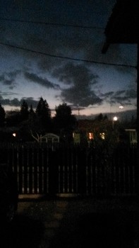 Вечерняя прохлада / Одинцовский район. д. Пронское