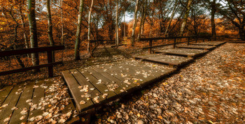 Лестница. / Парк.