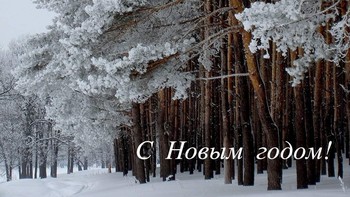 С Новым годом! / Ничто не вышибет нас из седла!