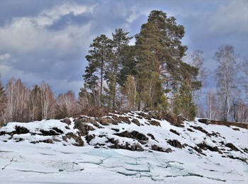 Зимняя картинка / Зимний лес