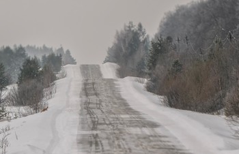 Дорога, лиса / ***