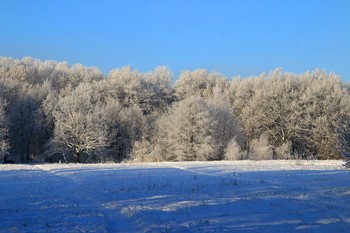 Зимушка / Битцевский лесопарк