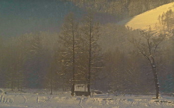 Cолнышко среди зимы! / Январским морозным утром...