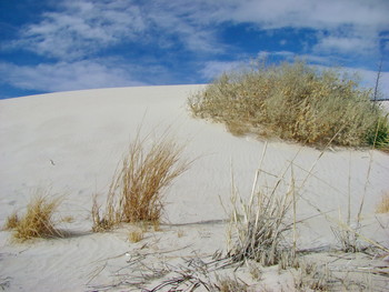 Белые Пески / White Sands National Monument, New Mexico, USA
