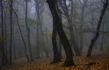 В старом парке........ / Железноводск. Октябрь
