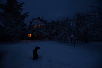 "Ночь темна, на небе тучи, белый снег кругом..." / "Ночь темна, на небе тучи,
Белый снег кругом.
И разлит мороз трескучий
В воздухе ночном ..."
Н.Огарев