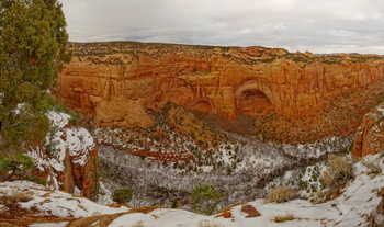 &quot;Осиновая тропа&quot; / Aspen Trail in the Navajo National Monument, Arizona, USA