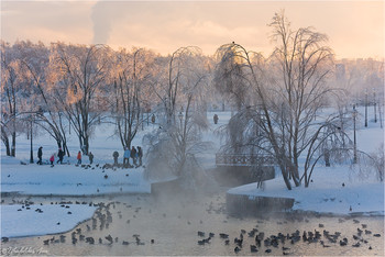 Зимний день в Царицыно / Царицыно