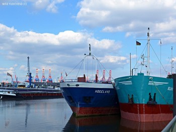 Hamburg / Video: https://www.youtube.com/watch?v=MqayIdm5-zg

Читайте в моем блоге о маршруте на пароме :

https://zen.yandex.ru/media/id/5ee66fc9c64be97c15fe75fd/letniaia-progulka-po-elbe-5f1b35cab65d2250ab15c180

Читайте в моем блоге &quot;Гамбург. Вечер на Эльбе&quot;
https://zen.yandex.ru/media/nina_yudicheva/gamburg-vecher-na-elbe-5f8b2ebf5284e336e5ffbe8b


Парусники в Гамбурге:

https://www.youtube.com/watch?v=JT5YfxP005o

Видео &quot;Прогулка по Эльбе&quot;: https://www.youtube.com/watch?v=qL1e1j9B8Vk

Лайнеры в Гамбурге:

https://www.youtube.com/watch?v=VU8V0Jvqpy0

https://www.youtube.com/watch?v=_8iY4QcGL-A&amp;t=8s https://www.youtube.com/watch?v=EVMHpH6SJxA

Корабли на Эльбе:

https://www.youtube.com/watch?v=DA7DProSV6o&amp;list=UUEOp3amNaNT0205lPmdFi8w&amp;index=19

Портовый центр и складской район Гамбурга:

https://www.youtube.com/watch?v=i0kxa-sex6o

https://www.youtube.com/channel/UCEOp3amNaNT0205lPmdFi8w/videos?

https://www.youtube.com/watch?v=IGn-NNqkBL0

https://www.youtube.com/watch?v=dZ1W9amrFdg