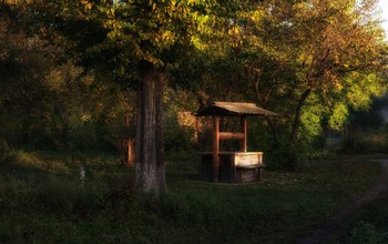 колодец / Осеннее утро в селе.........Приморье