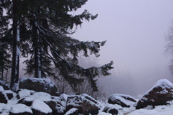 Сумерки в парке Монрепо / Монрепо́ (фр. Mon Repos — «мой покой», «моё отдохновение») — скальный пейзажный парк на берегу бухты Защитной Выборгского залива, на острове Твердыш в северной части города Выборга в Ленинградской области.