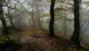 Осень в горах........... / Железноводск. Октябрь