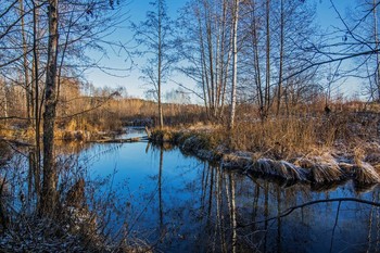 Ясный денек / торфяные озера ,п.Ильинское,Татарстан