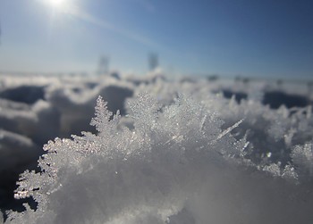 Снежная тайна / Санкт-Петербург