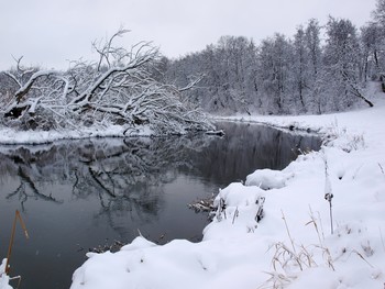 Снежный день / Теплый январь, парк в Минске