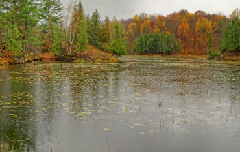 озеро Опиникон, Онтарио / Opinicon Lake, Ontario, Canada