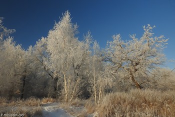 Когда деревья были хрустальными... / ...