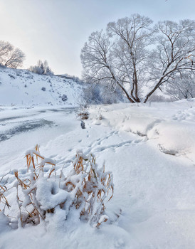 &nbsp; / Панорама