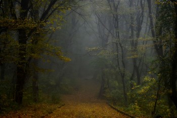 Хмурое утро..... / Железноводск. Октябрь