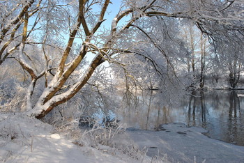 &nbsp; / Прогулка в парке