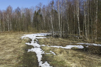 Весенний пейзаж в окрестностях платформы &quot;43 км&quot; (Горьковское направление) / Весенний пейзаж в окрестностях платформы &quot;43 км&quot; (Горьковское направление)