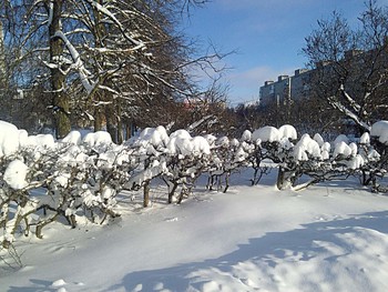 В шапочках. / &quot; &quot; &quot;