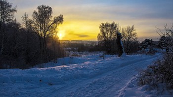 Зимняя дорога / Подмосковье
