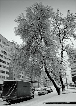 после снегопада / ***