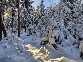Снежные зарисовки / ***