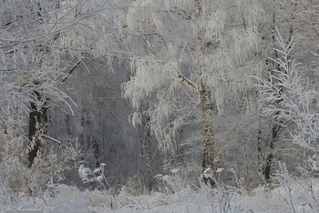 Зимняя сказка / ...