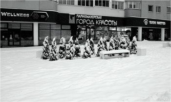 "город красоты" / ***