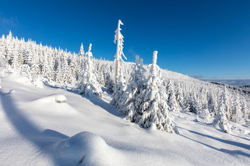 &nbsp; / Winterlandschaft im Böhmerwald