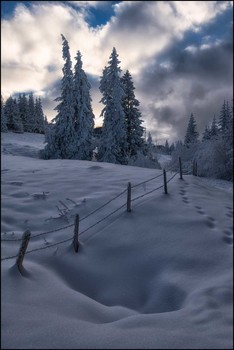 &nbsp; / Winter