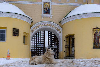 На посту / ...
