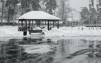 Городской парк / Туманный день