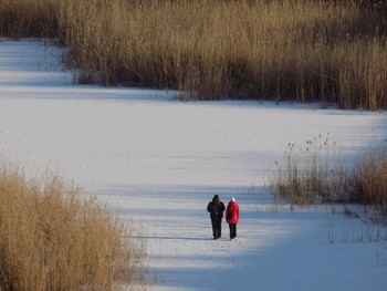 Прогулка по замерзшей речке / Пара на прогулке