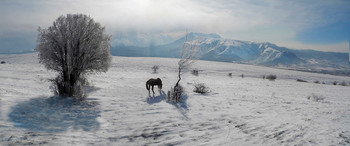 Снежный ландшафт / Крым