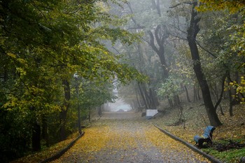 Туманным утром.......... / Железноводск. Октябрь