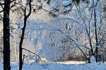 &nbsp; / еще один кадр, пора искать другую модель...