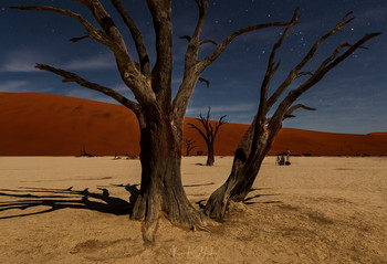 В пустыне под звездами / Долина Дедвлей в пустыне Намиб, Намибия