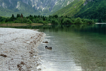 На озере Бохинь / Словения