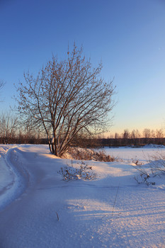 На закате... / Зимой так много белого цвета, но все меняется, когда солнце садится за горизонт