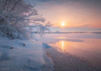 Морозная нега / Шатурские озера, Московская область