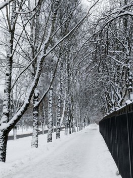 Чистая пятница / Минск.