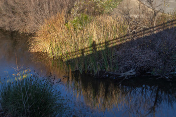 С моста / ....