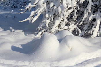 Снежные картинки / Природа зимой.