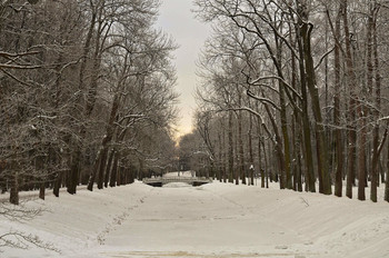 Зимним вечером. / Александровский парк, мост,обводный канал.